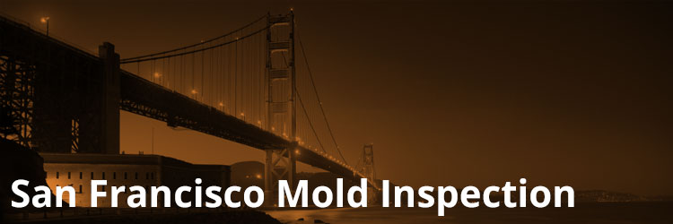 San Francisco Mold Inspection and Remediation