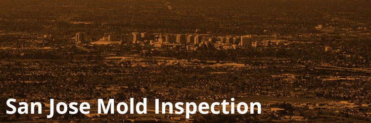 San Jose Mold Inspection and Remediation