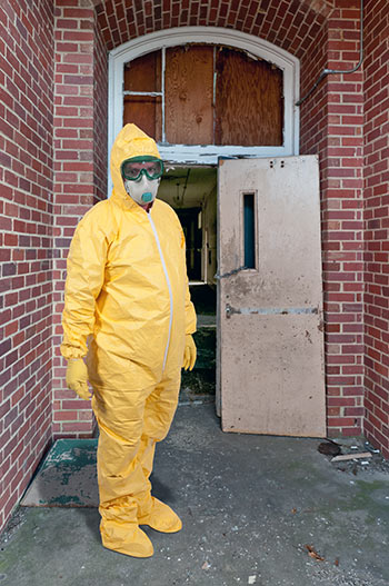 mold-removal-and-remediation-irenvironmental